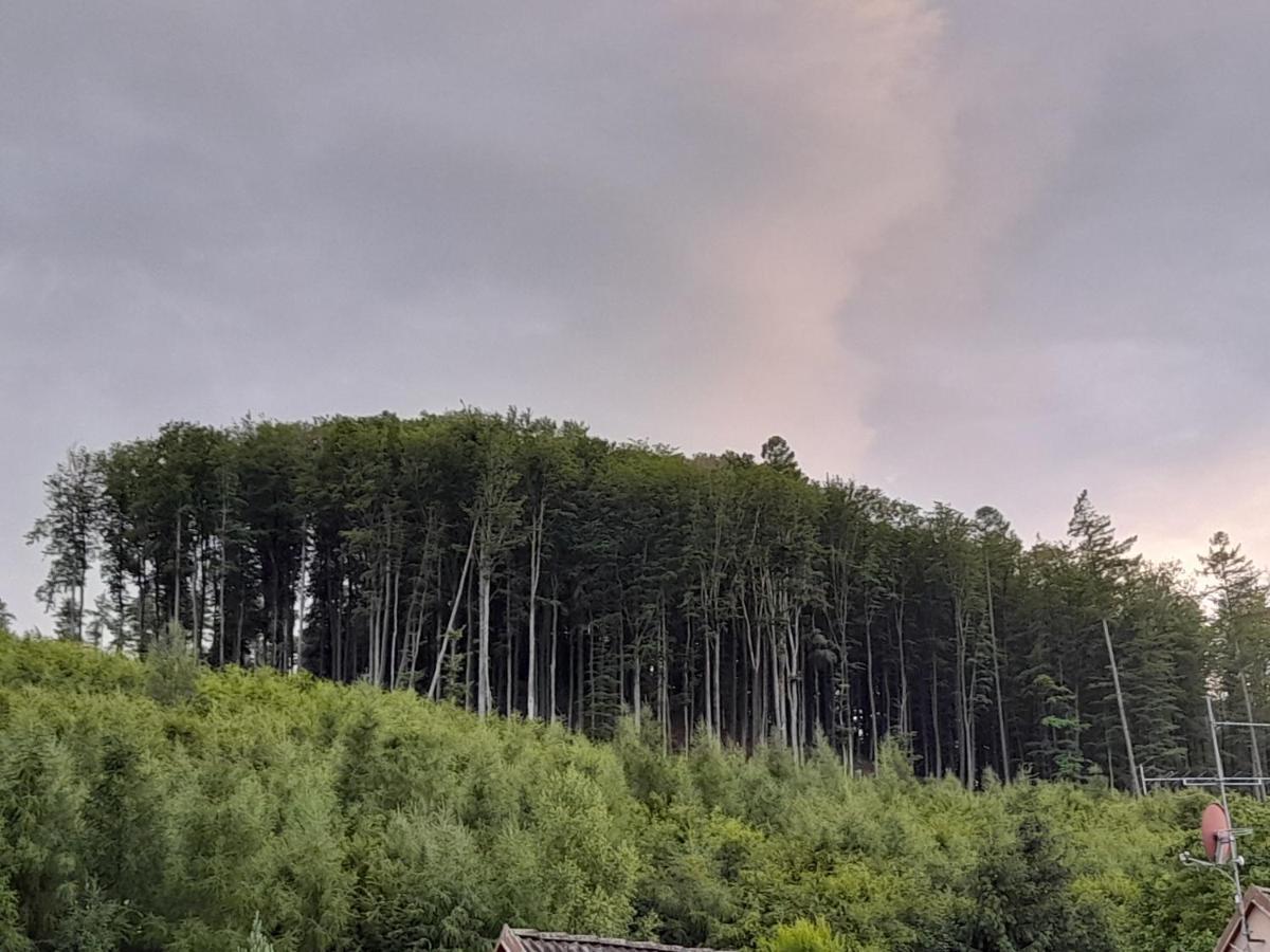 Pohoda Salas U Velehradu-2 Apartmany Угерске-Градиште Экстерьер фото